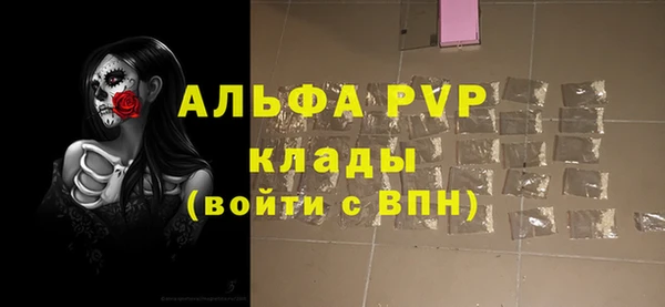 дживик Осташков